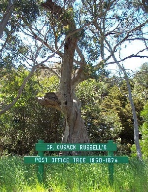 Rev F T Cusack Russell's Post Office Tree